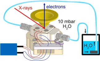 EnviroEsca_cell.jpg (26 KB)